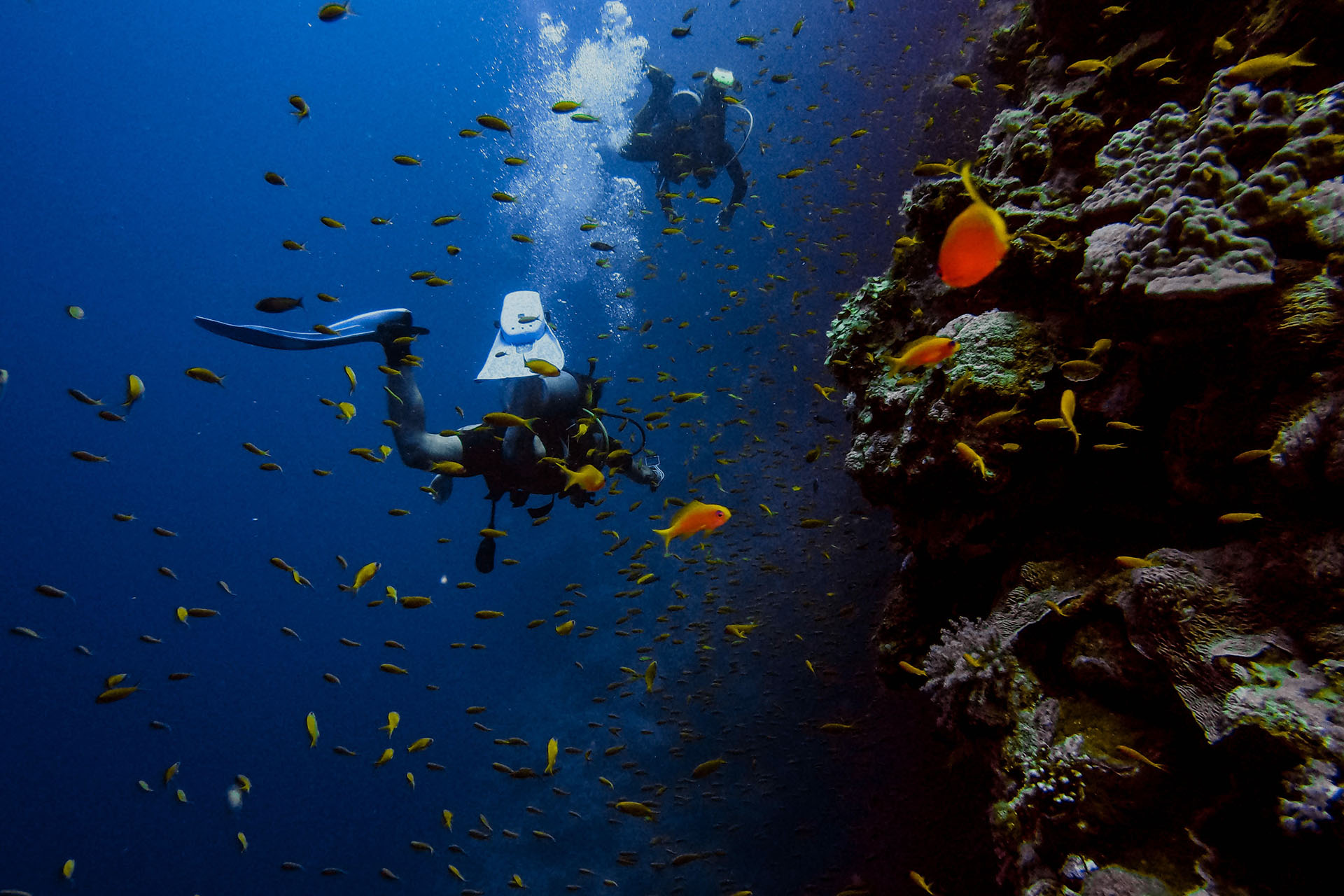 Lesvos Scuba Diving | Hotel Elysion | Neapoli, Mytilene